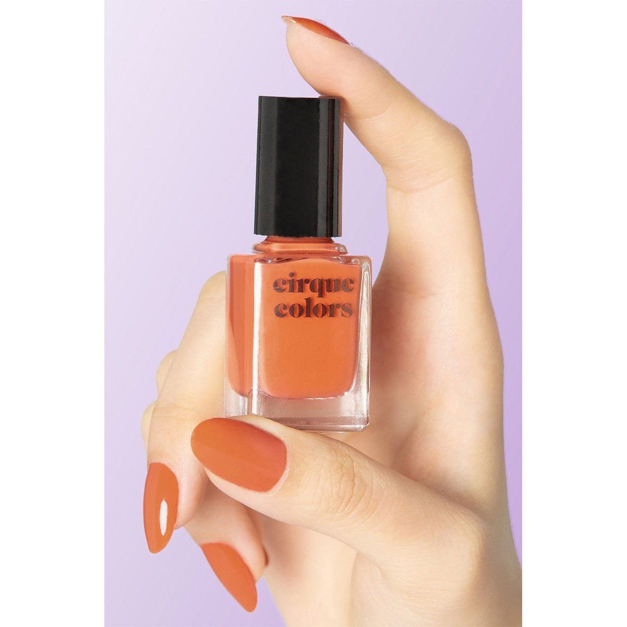 Cirque Colors - Nail Polish - Arabesque 0.37 oz - Nail Lacquer - Nail Polish at Beyond Polish