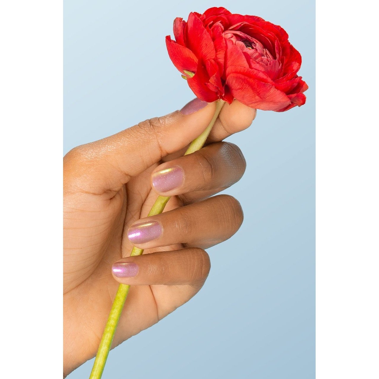 Cirque Colors - Nail Polish - Vanitas 0.37 oz - Nail Lacquer - Nail Polish at Beyond Polish