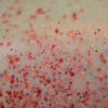KBShimmer - Nail Polish - Bittersweet Symphony - Nail Lacquer - Nail Polish at Beyond Polish