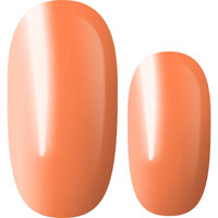 Lily and Fox - Nail Wrap - Orange Sherbet Neon - Nail Wrap - Nail Polish at Beyond Polish