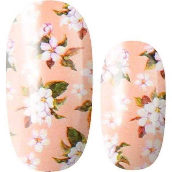 Lily and Fox - Nail Wrap - Wallflower - Nail Wrap - Nail Polish at Beyond Polish
