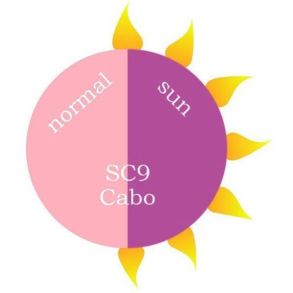 Revel Nail - Dip Powder Sun Color Cabo 2 oz - #SC9C - Dipping Powder - Nail Polish at Beyond Polish