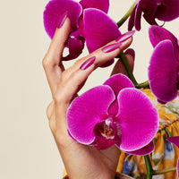 CND - Shellac & Vinylux Combo - Orchid Canopy - Gel & Lacquer Polish - Nail Polish at Beyond Polish