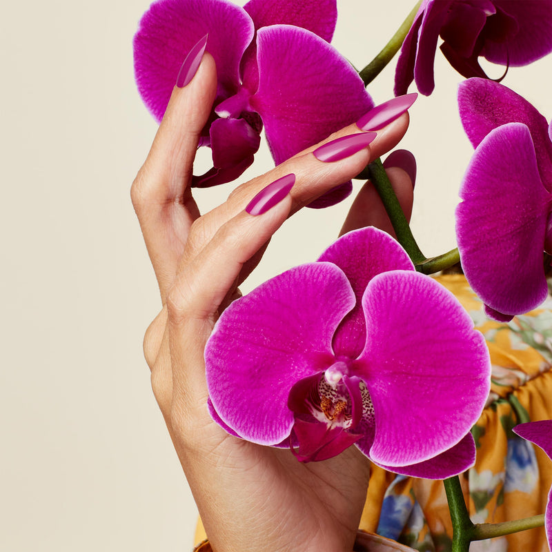 CND - Shellac & Vinylux Combo - Orchid Canopy - Gel & Lacquer Polish - Nail Polish at Beyond Polish