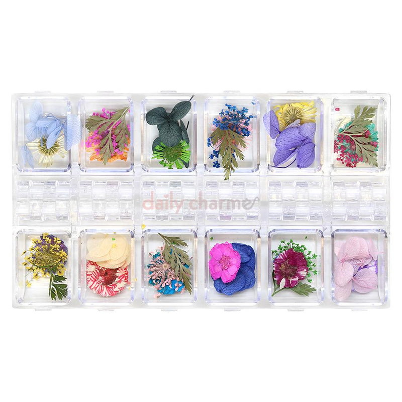 Daily Charme - Pressed Dry Natural Flower & Leaf Set - Mix - Nail Art - Nail Polish at Beyond Polish