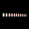 Apres - Neutrals Gel-X Tips - Maisie Round Medium (150 pcs) - Nail Extensions - Nail Polish at Beyond Polish