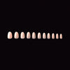 Apres - Neutrals Gel-X Tips - Maisie Round Short (150 pcs) - Nail Extensions - Nail Polish at Beyond Polish