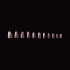 Apres - Neutrals Gel-X Tips - Mia Round Short (150 pcs) - Nail Extensions - Nail Polish at Beyond Polish