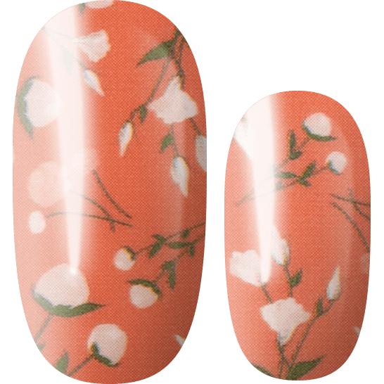 Lily And Fox - Nail Wrap - Best Buds - Nail Wrap - Nail Polish at Beyond Polish