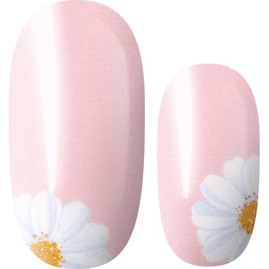 Lily and Fox - Nail Wrap - Daisy Daydream - Nail Wrap - Nail Polish at Beyond Polish
